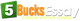 "Logo with text '5 Bucks Essay' in green and orange on a white background."