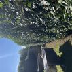 Heckenschnitt Seite