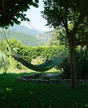 Hamaca colgando entre dos árboles en un jardín verde con montañas al fondo.