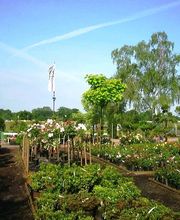 Kleiner Einblick auf unsere Verkaufsfläche