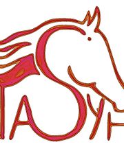 Fantasy Horse Logo