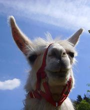 Qualitätsmanagement und Inspirationstraining!