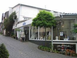 Gepflasterte Straße mit Geschäften, Schaufenstern und Bäumen am Straßenrand. Hund im Vordergrund.
