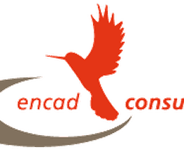 encad consulting GmbH Logo