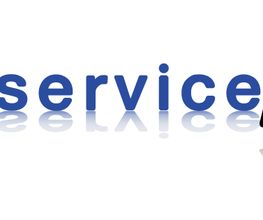 webservice 4U Logo