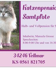 Katzenpension 