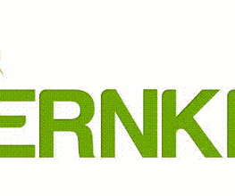 Lernkreis Sattel Logo