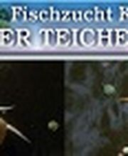 Koi-Center Schafflund Logo