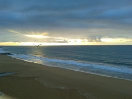 Playa al atardecer con gaviota volando sobre el mar y nubes en el cielo.