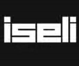 Iseli Stellitier- und Schärftechnik GmbH Logo