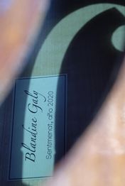 Etiqueta que dice "Blandine Galy Sentmenat, año 2020" con una sombra en forma de arco.