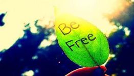 Grønt blad med teksten "Be Free" i sollys.
