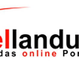 ziellandung.de Logo
