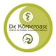 Grünes Yin-Yang-Logo mit Text: "Die Körperoase - Zentrum für Ästhetik Gesundheit & Wellness".