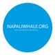 Blue circle with "NAPALIWHALE.ORG" text for Kauai's Na Pali Coast conservation.