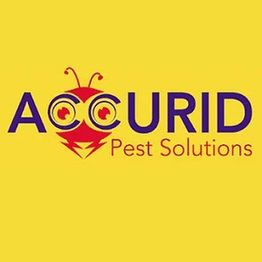 Accurid Pest Solutions logo with a stylized insect face on a yellow background.