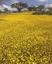 Ferienwohnung Lippstadt: Beispiel 6