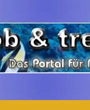 job & trendgesundheit Logo