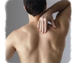 Physiotherapie - Zehner Logo