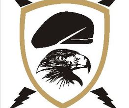 BERKUT-GL e.K Logo