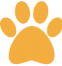 Orange paw print icon on a white background.