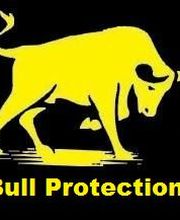 Bull Protection Security & Detektei Logo