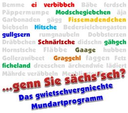 Bunte sächsische Dialektwörter auf weißem Hintergrund, unten ein roter und blauer Slogan.