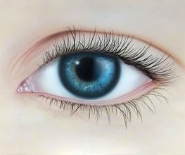 Airbrush Kurs Vorlage