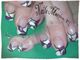 Bunte Nagelkunst mit lila, weißen und goldenen Mustern auf einer Hand.