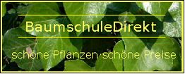 Text: "BaumschuleDirekt - schöne Pflanzen, schöne Preise" auf grünem Blatt-Hintergrund.