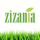 "Green 'zizania' logo with grass and a leaf above the letter 'i' on a white background."