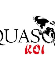 Hiquaso Logo