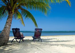 Zwei Strandliegen unter Palme am Sandstrand mit Blick aufs Meer und strahlend blauem Himmel.