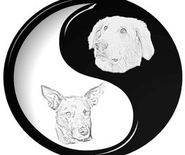 JAPP Hundetraining & Shop Logo