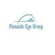 Logo of Pinnacle Eye Group with blue arc and triangle design above the text.