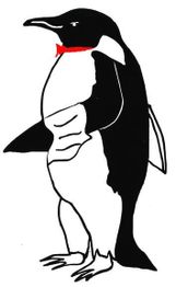 Gezeichneter Pinguin mit roter Fliege auf weißem Hintergrund.