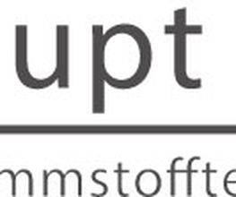 Haupt-Dämmstofftechnik Logo
