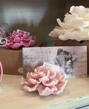 Rosa und weiße Kerzen in Blumenform, Ohrringe und eine Karte auf einem Regal.