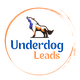 Wolf silhouette above "Underdog Leads" text in a circular orange brushstroke design.