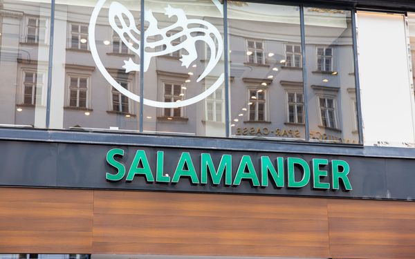 Neues Kapitel für Salamander