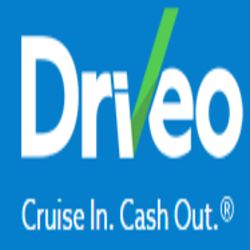 Driveo logo with slogan: "Cruise In. Cash Out." on a blue background.