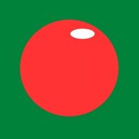 Grüne Fläche mit rotem Kreis in der Mitte, oben links ein weißer Lichtreflex.