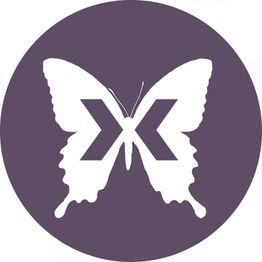 Weißer Schmetterling auf lila Hintergrund mit einem „X“ in der Mitte der Flügel.
