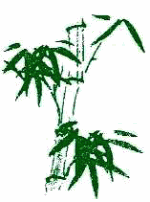 Grüne Bambuszeichnung mit Zweigen und Blättern auf weißem Hintergrund.