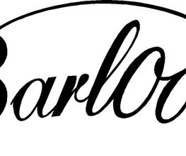 Barlooon Germany GmbH Logo