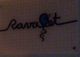 Texto manuscrito "Ravatet" con un globo azul dibujado sobre una cuadrícula.