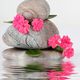 Drei Steine mit rosa Blumen, gespiegelt im Wasser.