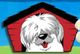 Fluffy white dog with long hair sits in a red doghouse, blue sky background.