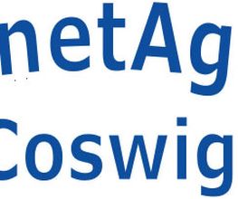 InternetAgentur Coswig Logo