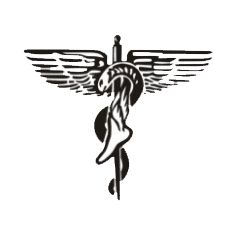 Winged medical caduceus with a staff, wings, and entwined snakes.